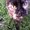 Photo of Samantha H.