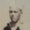 Photo of Fred B.