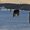 Photo of Qype User (thomas…)