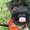 Photo of Nonoka S.