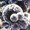 Photo of Jenny L.