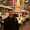 Photo of Jason S.
