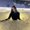 Photo of brianna g.