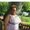 Photo of Lisa H.