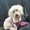 Photo of Patty A.