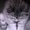 Photo of Qype User (dianed…)