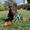 Photo of Steve G.