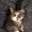 Photo of Kat T.