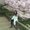 Photo of Lily Y.