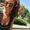 Photo of Nicole Y.
