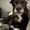 Photo of Melany P.