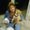 Photo of Sherry L.