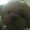 Photo of Shabu L.