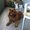Photo of Qype User (edda35…)
