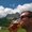 Photo of Cityvox User (thomas…)