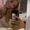Photo of Hailey S.