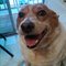Photo of Aileen C.