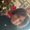 Photo of Nevaeh H.