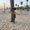 Photo of Vanesha H.