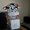 Photo of Taryn S.