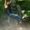 Photo of Brayan P.