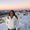 Photo of Amy M.