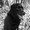 Photo of Jacie C.