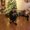 Photo of Christa S.