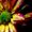 Photo of Sun S.