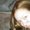 Photo of Maritza M.