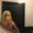Photo of Rachel S.