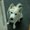 Photo of Luis F.