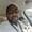 Photo of Kenyai C.