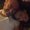 Photo of Janea M.