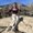 Photo of Jenny T.