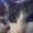 Photo of Max