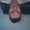 Photo of Roboto S.
