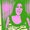 Photo of Lisa S.
