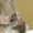 Photo of Jake B.