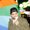 Photo of Sai K.