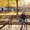 Photo of Amy G.