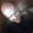 Photo of Chas M.