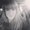 Photo of Jessica K.