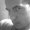 Photo of Richard C.