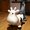 Photo of Star M.