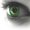 Photo of Tania J.