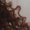 Photo of Johana K. A.