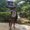 Photo of Manali M.