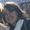 Photo of Cindy G.