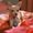 Photo of Bruiser W.